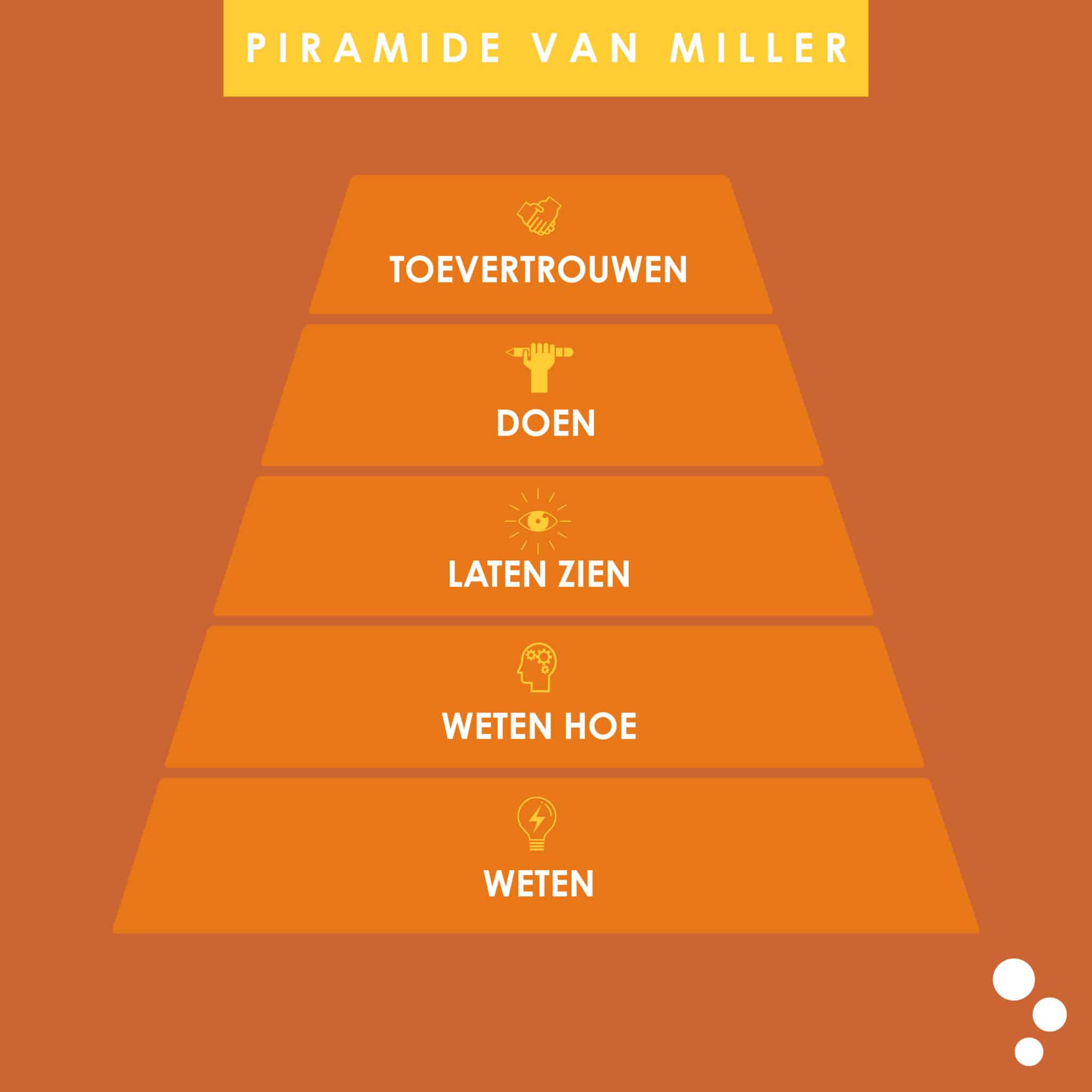 Marketing model Piramide van Miller